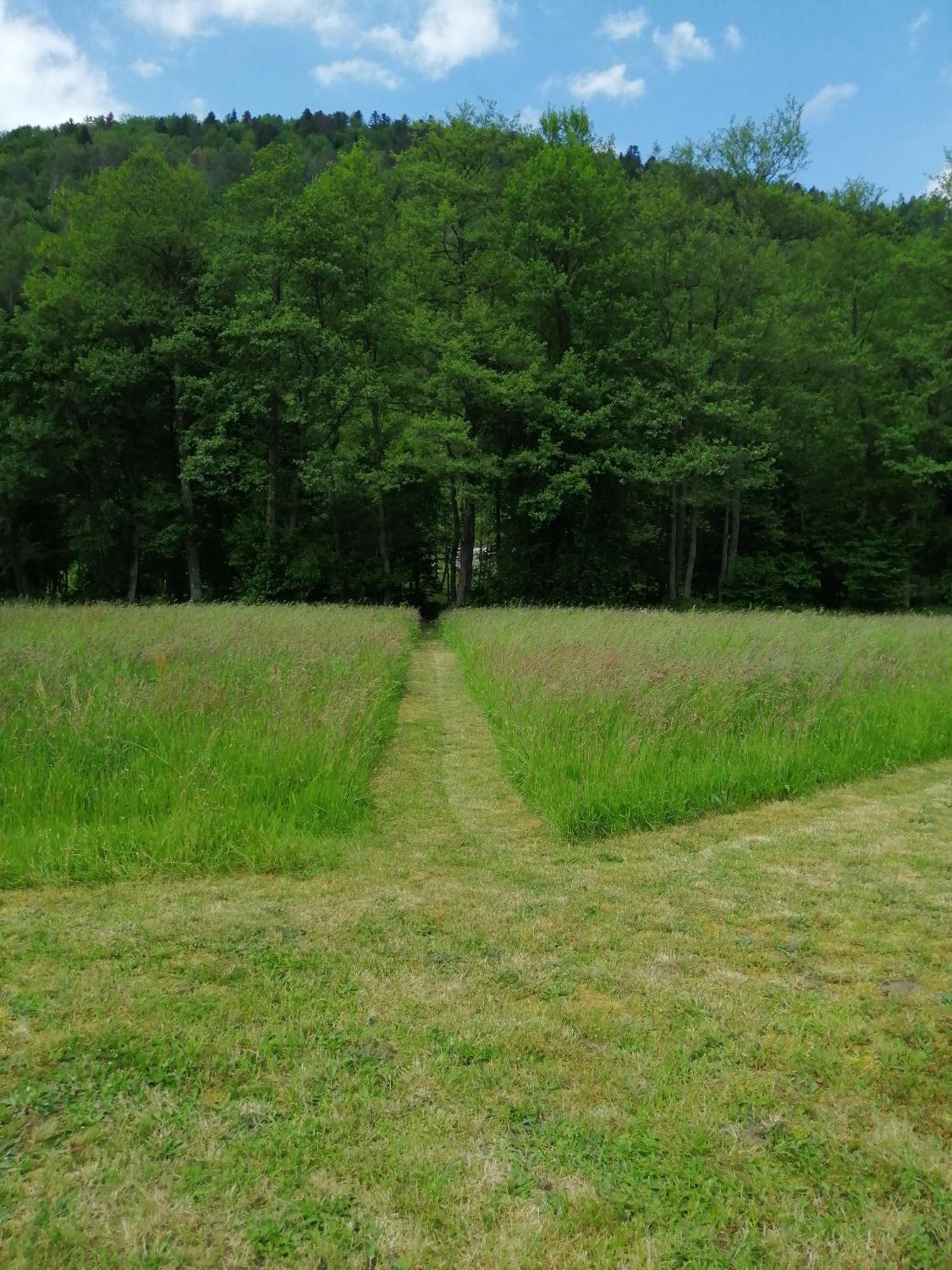La Nature Sapois (Vosges) Exterior foto